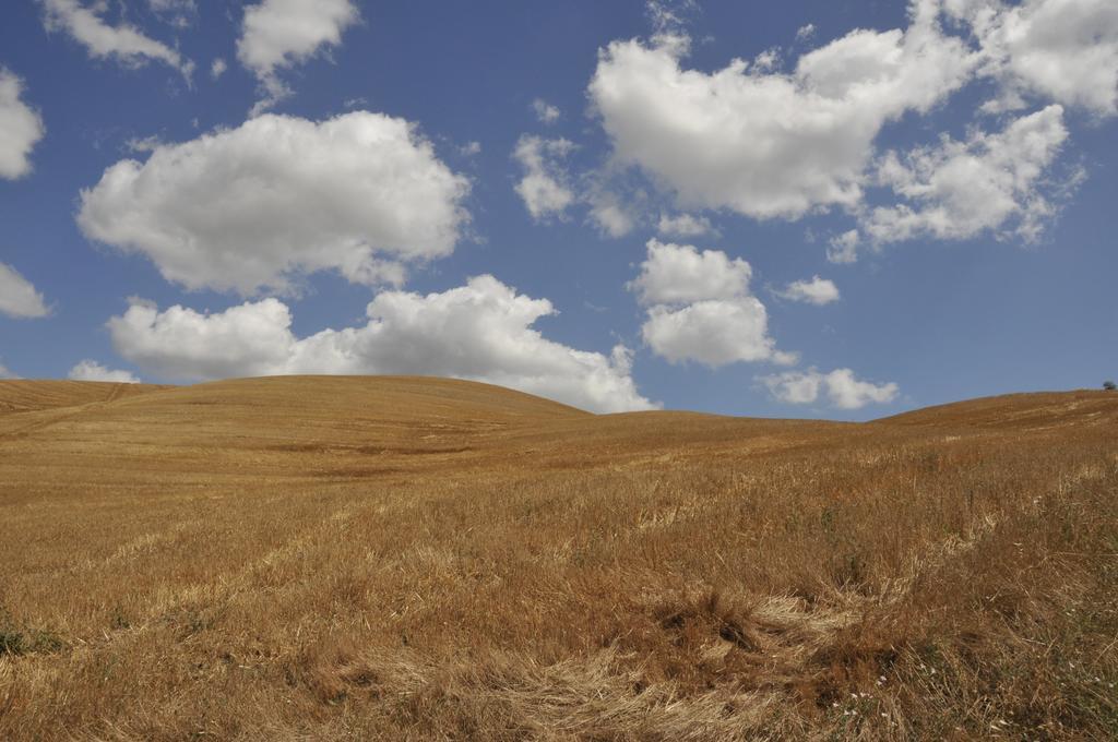 فولتيرا Agriturismo Podere Campaini المظهر الخارجي الصورة