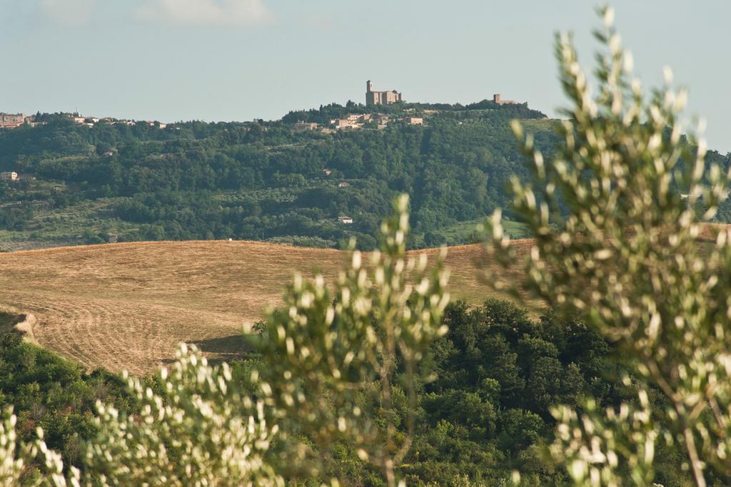 فولتيرا Agriturismo Podere Campaini المظهر الخارجي الصورة