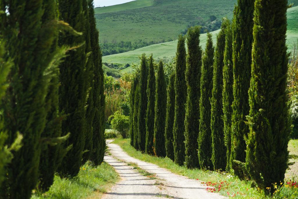 فولتيرا Agriturismo Podere Campaini المظهر الخارجي الصورة